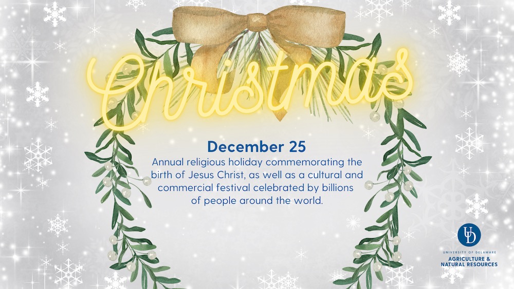 Christmas. December 25: Annual religious holiday commemorating the birth of Jesus Christ, as well as a cultural and commercial festival celebrated by billions of people around the world.