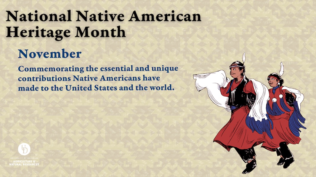 National Native American Heritage Month: November Commemorating the essential and unique contributions Native Americans have made to the United States and the world.