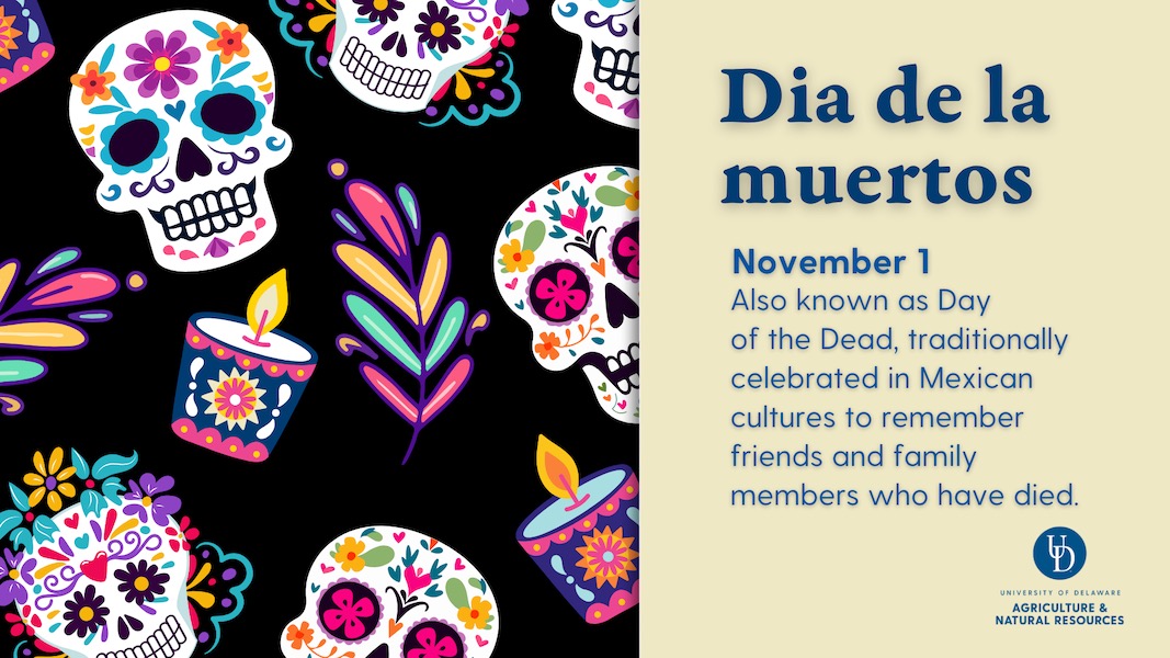 Dia de la muertos: November 1. Also known as Day  of the Dead, traditionally celebrated in Mexican cultures to remember friends and family members who have died.