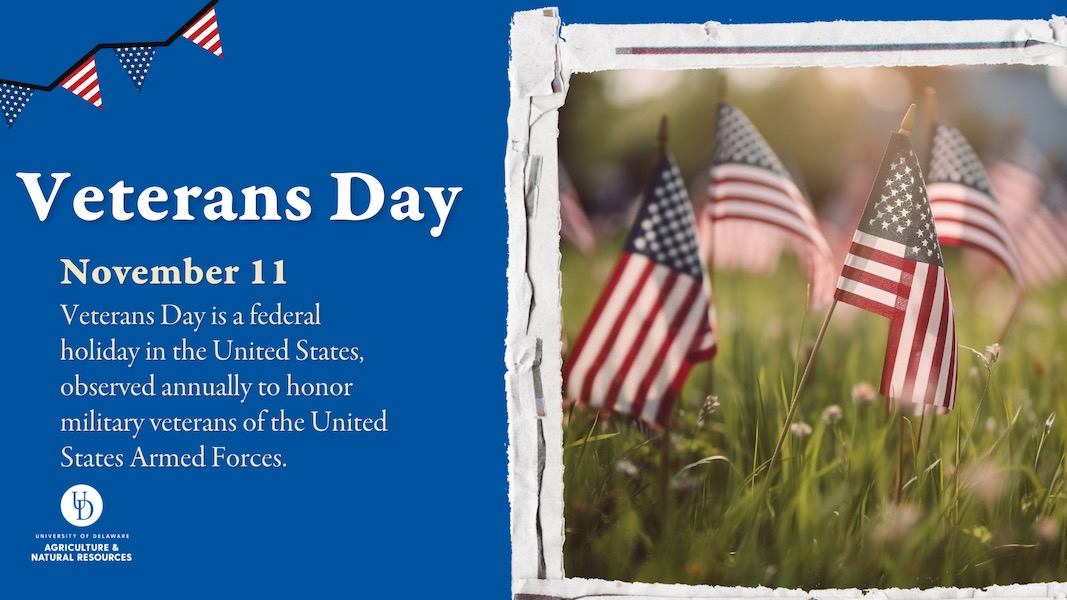 Veterans Day, November 11: Veterans Day is a federal holiday in the United States, observed annually to honor military veterans of the United