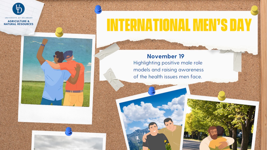 INTERNATIONAL MEN'S DAY, November 19: Highlighting positive male role models and raising awareness of the health issues men face.