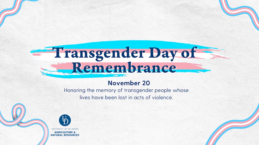 Transgender Day of Remembrance, November 20: Honoring the memory of transgender people whose lives have been lost in acts of violence.