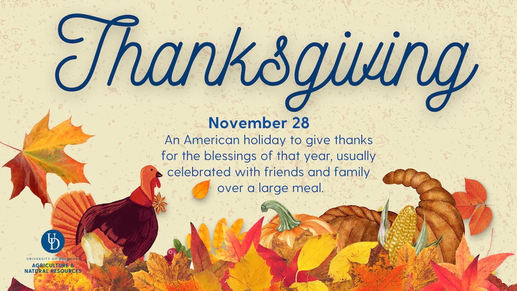 Thanksgiving, November 28: An American holiday to give thanks for the blessings of that year, usually celebrated with friends and family over a large meal.