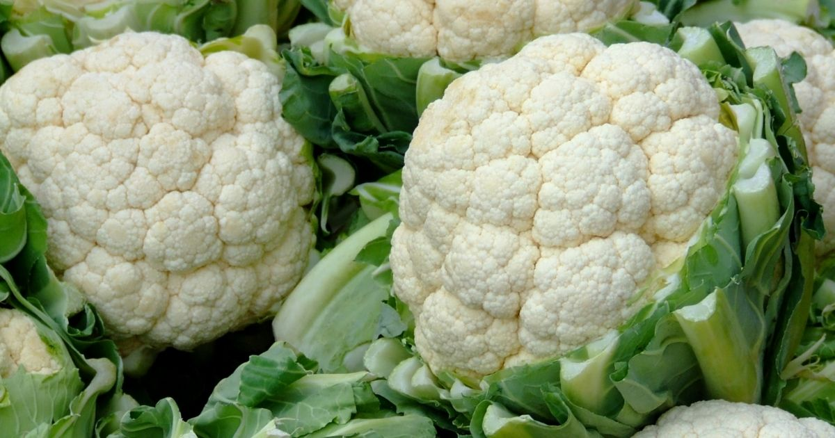 Cauliflower heads bunched together Cauliflower heads bunched together