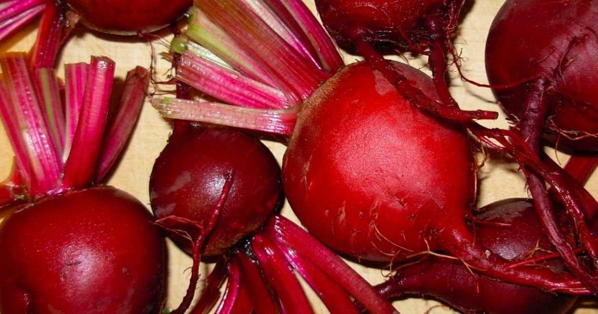A group of beets A group of beets