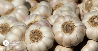 A large bunch of garlic