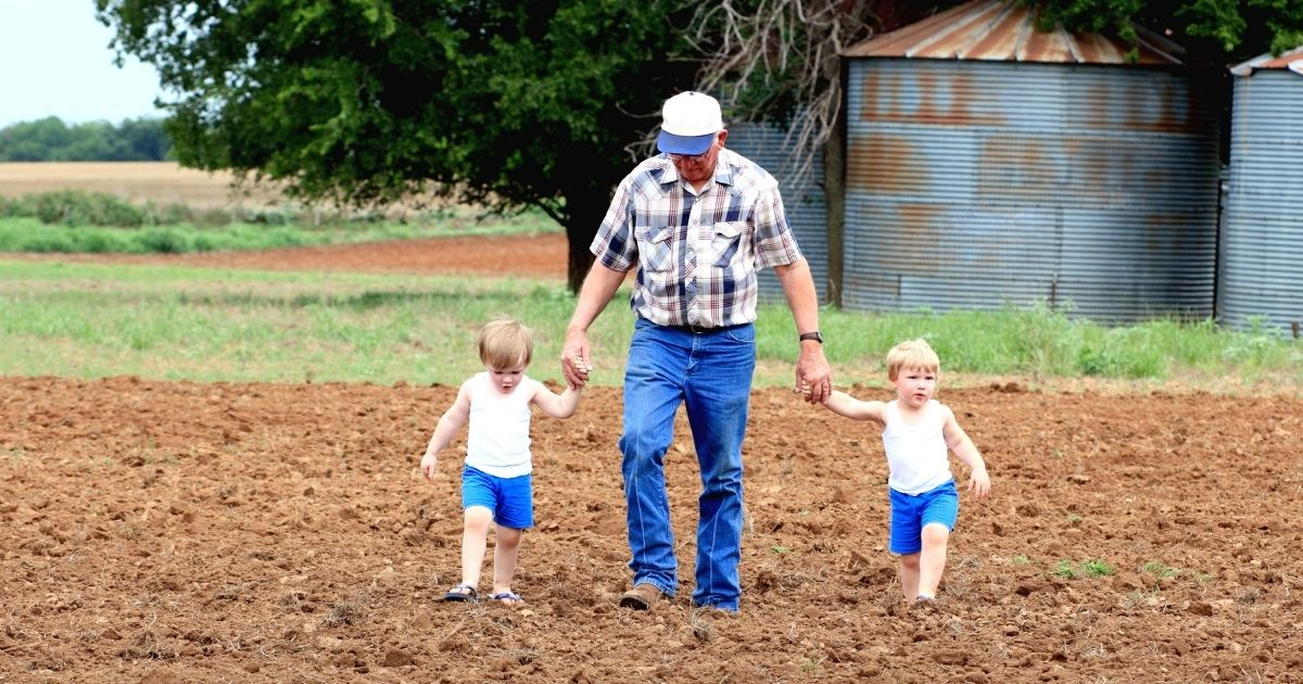 A grandfather holdling hands with his two grandchildren in a field A grandfather holdling hands with his two grandchildren in a field