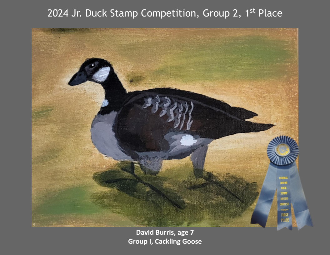 2024 Jr. Duck Stamp Contest, Delaware 4-H.  1st Place. Cackling Goose David Burris, age 7