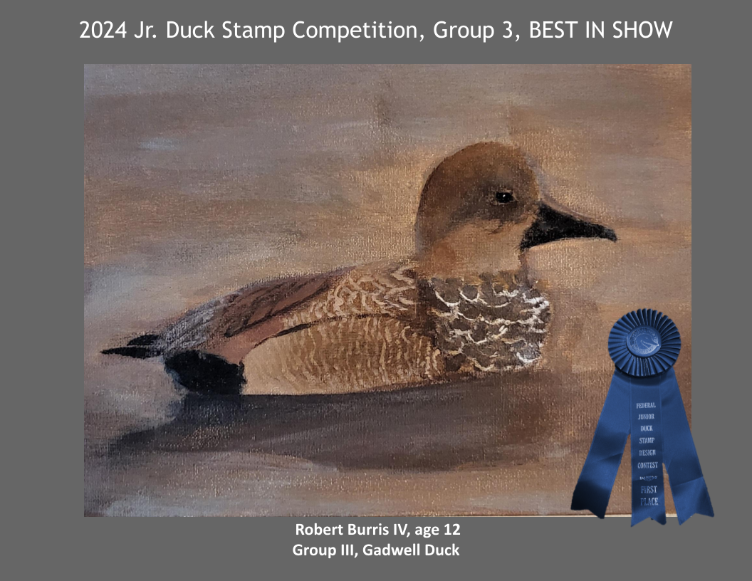 2024 Jr. Duck Stamp Contest, Delaware 4-H. BEST IN SHOW. Gadwell Duck Robert Burris IV, age 12