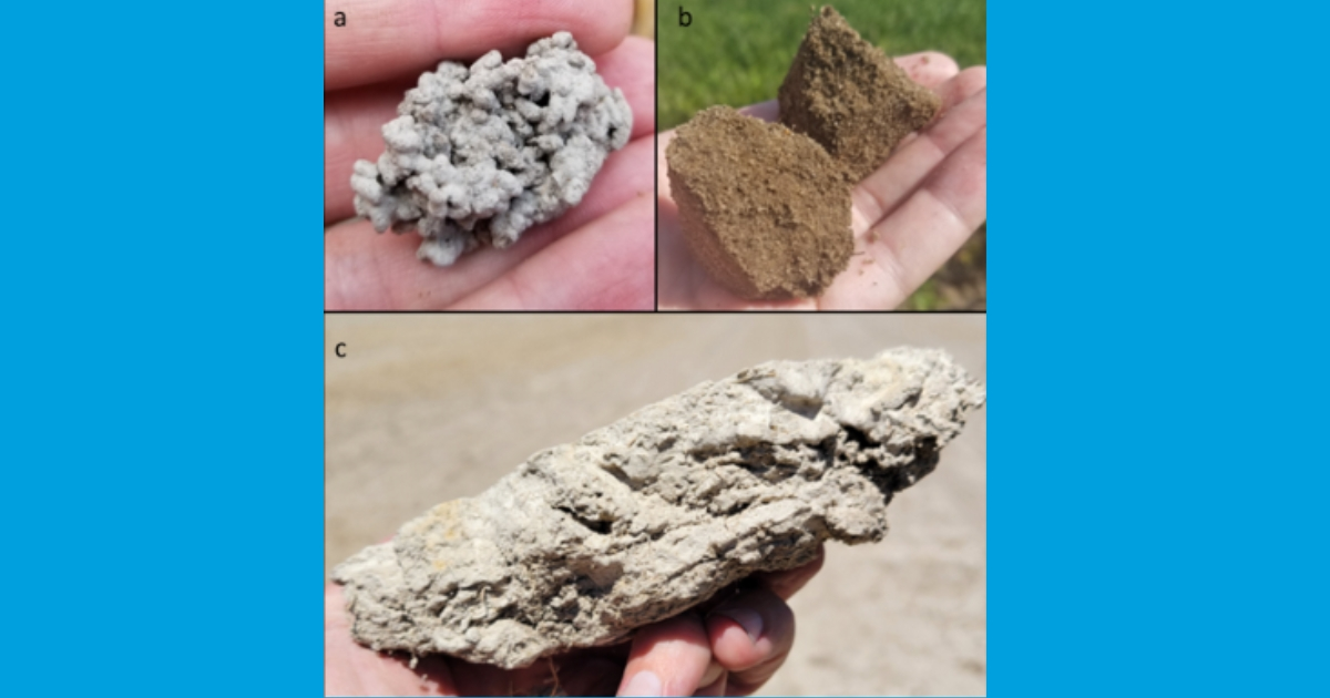 Soil aggregates forming a) granular structure due to earthworm castings, b) weak blocky structure in sand, and c) massive structure in salinity-affected silt loams. Photos courtesy: Jarrod Miller Soil aggregates forming a) granular structure due to earthworm castings, b) weak blocky structure in sand, and c) massive structure in salinity-affected silt loams. Photos courtesy: Jarrod Miller