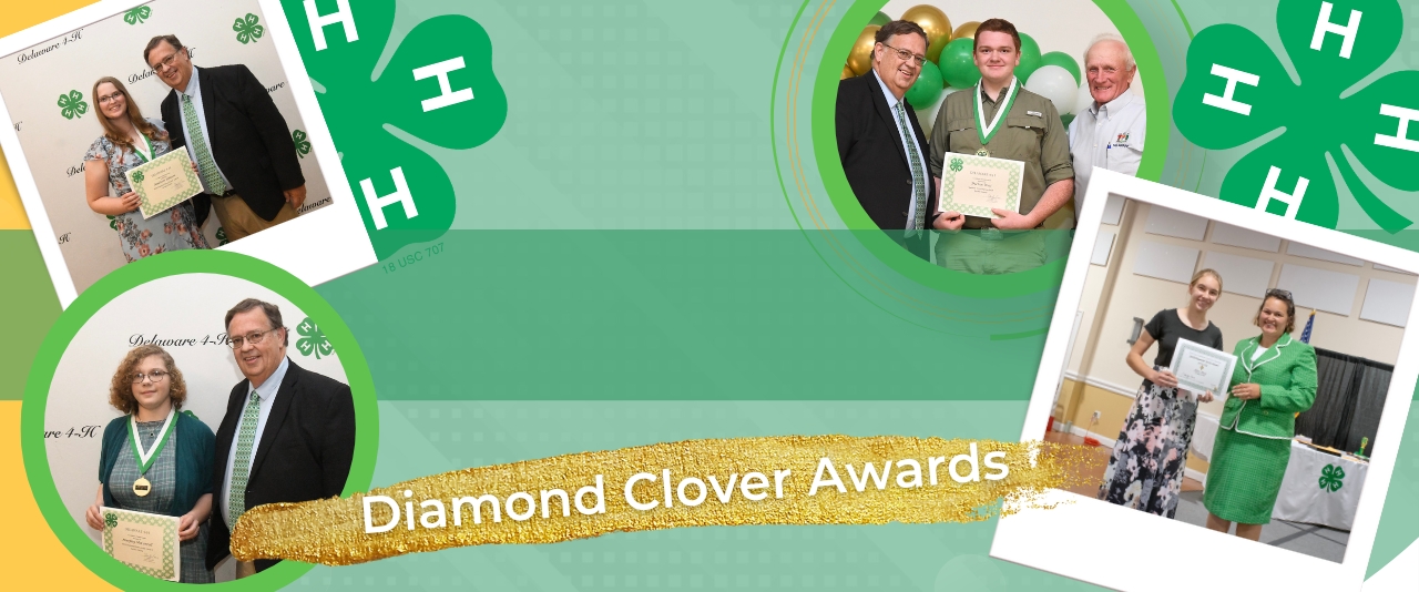 A photo collage of the four Diamond Clover Award winners