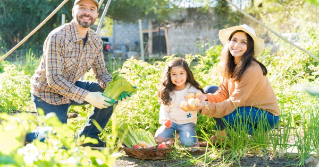 A family working together in a garden