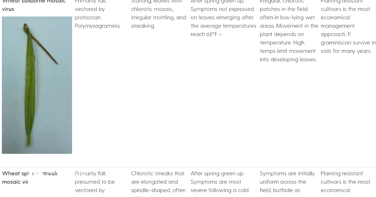 Early Season Symptom Chart Early Season Symptom Chart