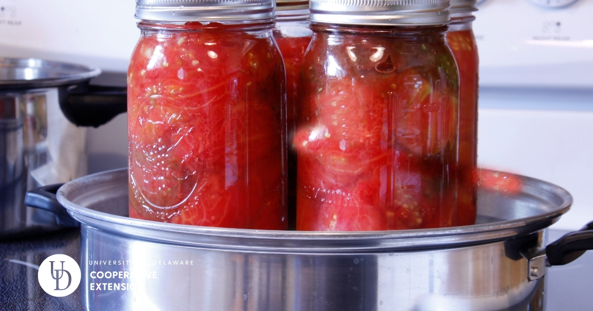 Canned tomatoes in a boiling pot Canned tomatoes in a boiling pot