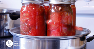 Canned tomatoes in a boiling pot