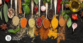 A variety of herbs and spices shown on spoons