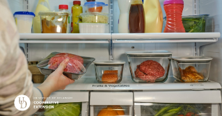 A closeup of an opened refrigerator with food storage containers