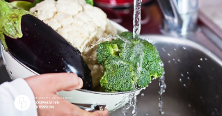 A closeup of something holding a bowl of vegetables under a sink, washing them.