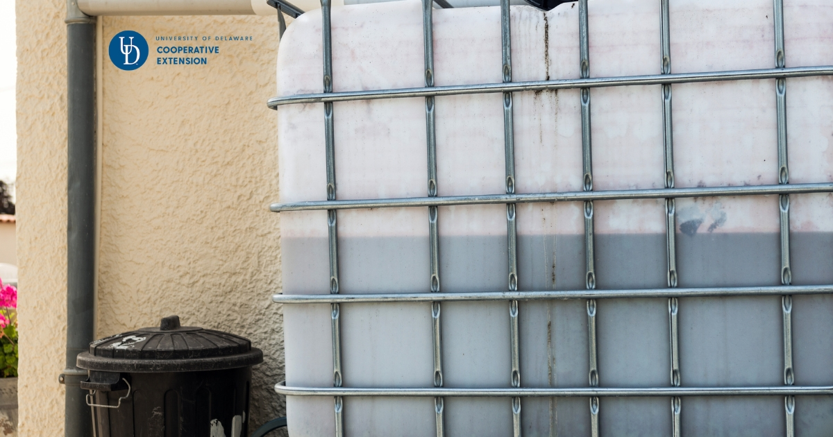 A rainwater collection container A rainwater collection container