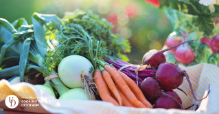 A basket of vegetables