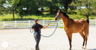 A woman with her horse