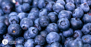 A batch of blueberries