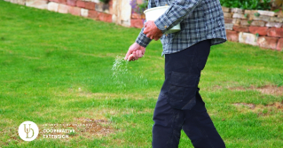 Someone spreading fertilizer with their hand while holding a bucket on a lawn.