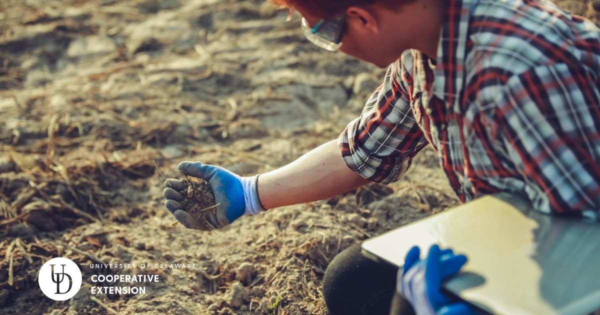 A man holding a handful of soil A man holding a handful of soil