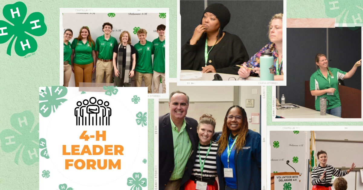 A photo collage of the Delaware 4-H Leader Forum event