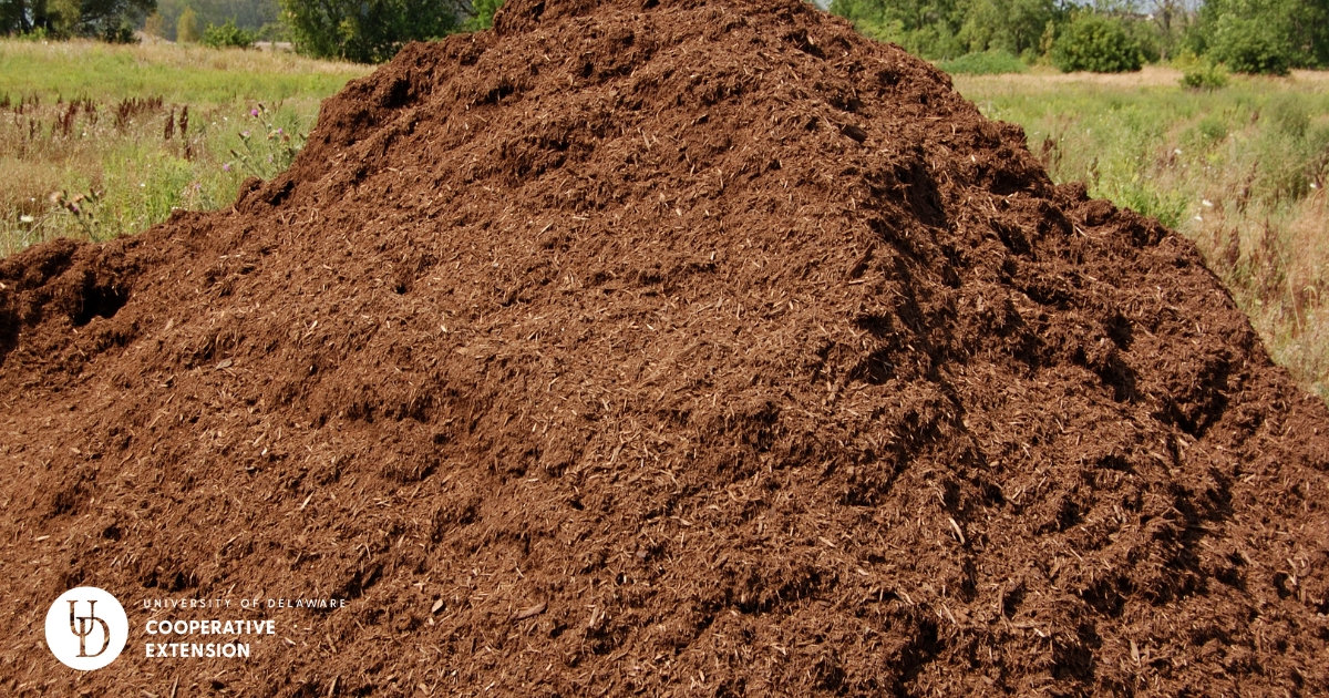A pile of manure A pile of manure