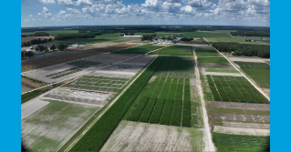 Cumulus clouds cast variable shadows across field plots in Delaware. These shadows affect the light reflected from plants back to cameras or sensors, causing differences across plots not related to crop growth (photo: Jarrod Miller).