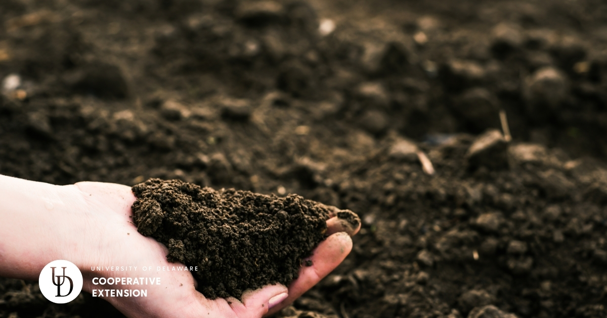 A handful of soil from a field A handful of soil from a field