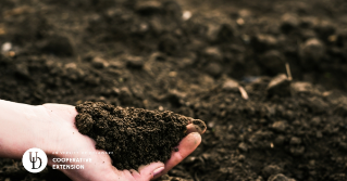 A handful of soil from a field