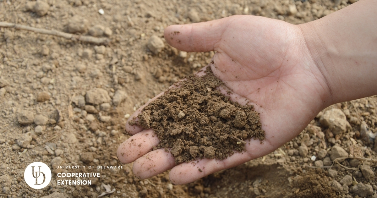 A handful of soil from a field A handful of soil from a field