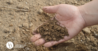 A handful of soil from a field