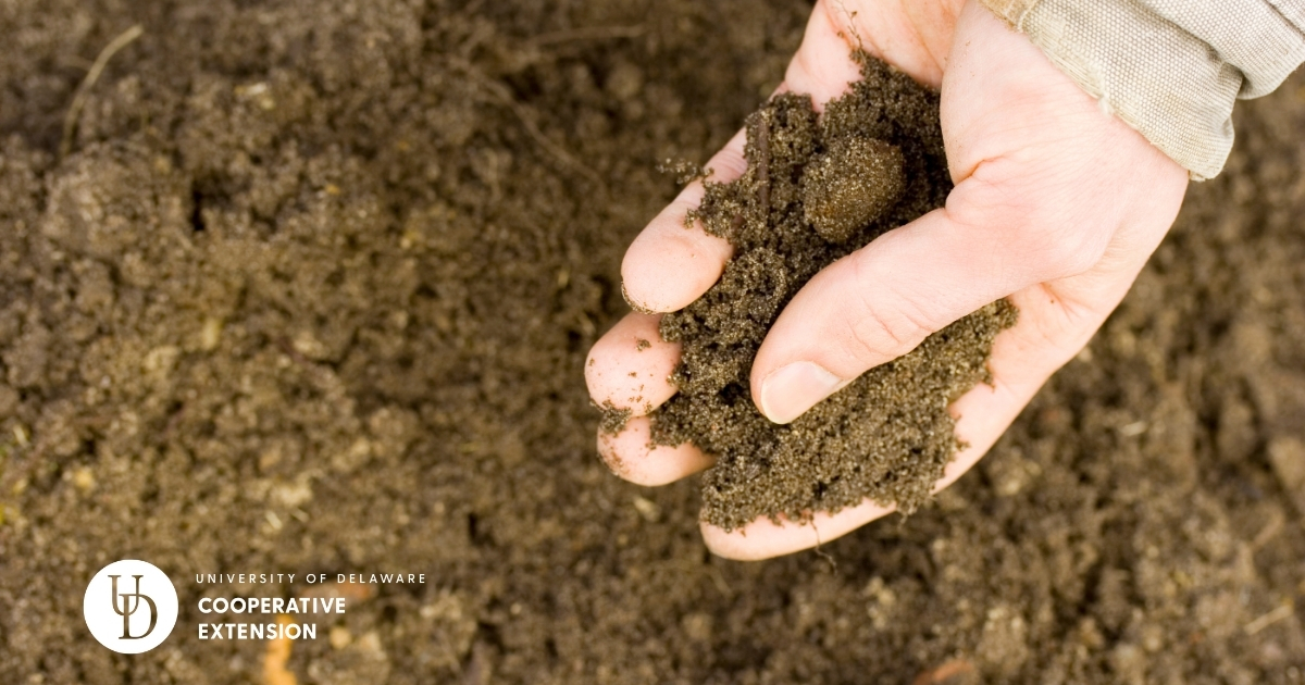 A handful of soil from a field A handful of soil from a field