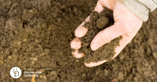 A handful of soil from a field