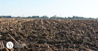 A close view of the soil in a field