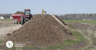 A pile of poultry litter