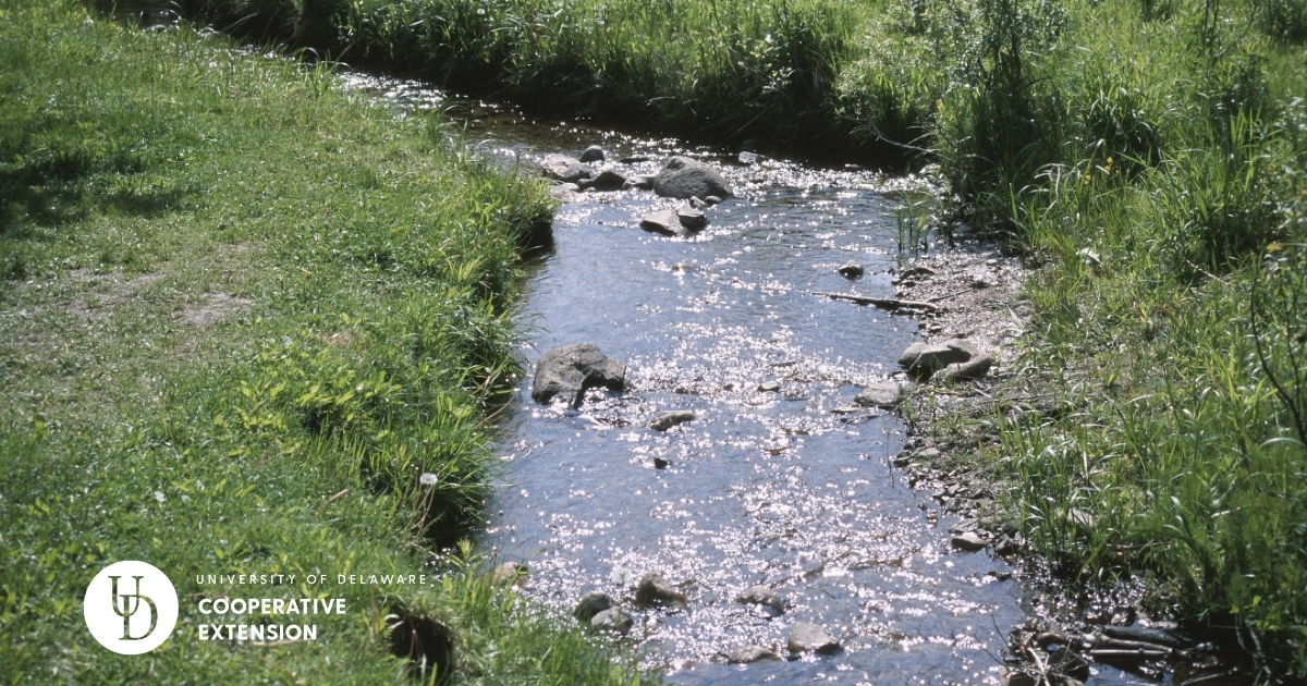 A stream flowing A stream flowing