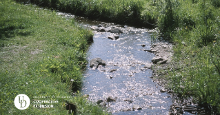 A stream flowing