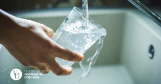 A glass filling up under the sink