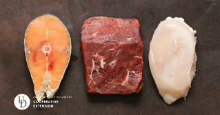 A photo of 3 types of meat: Fish, Beef and Chicken