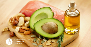 A variety of fats such as avocado, nuts and oil.