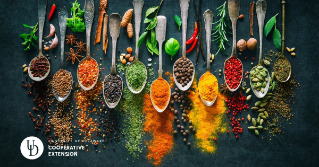 A variety of herbs and spices in a row on spoons