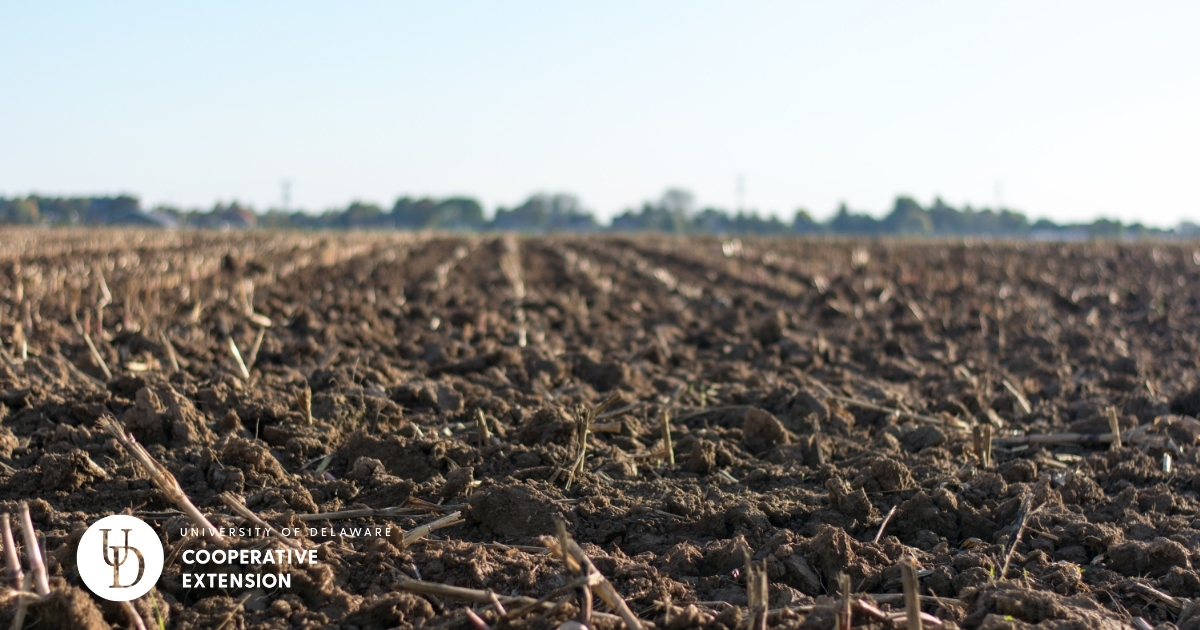 A close view of the soil in a large field A close view of the soil in a large field