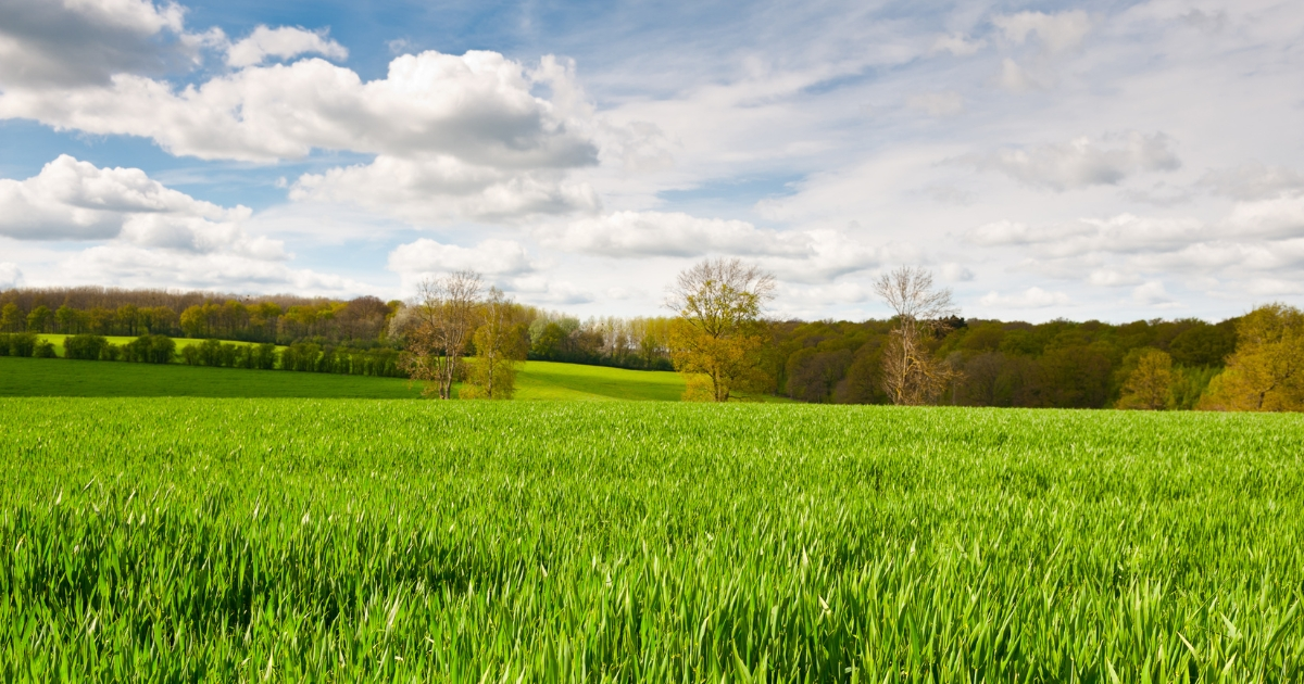 A large beautiful pasture A large beautiful pasture