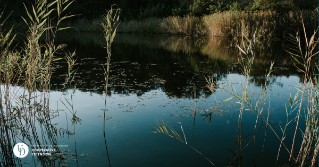 A bio retention pond