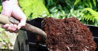 A shovel full of compost