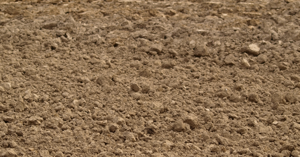 A photo of an area of soil A photo of an area of soil